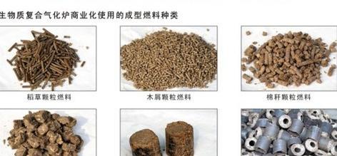 生物材料的应用与发展（探索生物材料在医学、环保和能源领域的前景）