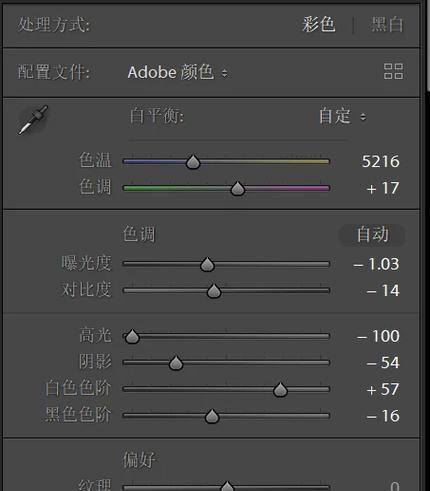 探究5D4画质的真实表现力（从细节再现到色彩还原，一探佳能5D4画质的魅力）