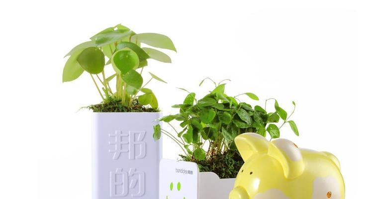 以太阳能鼠标（将阳光转化为能量的智能鼠标，为可持续发展做贡献）
