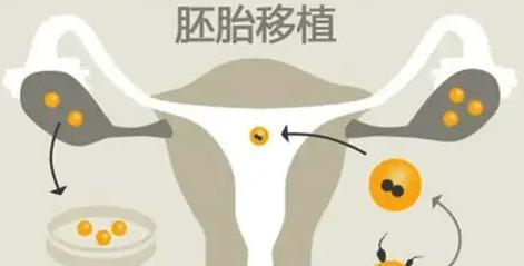 抽烟对胚胎的影响（了解胚胎抽烟的危害与防范措施）