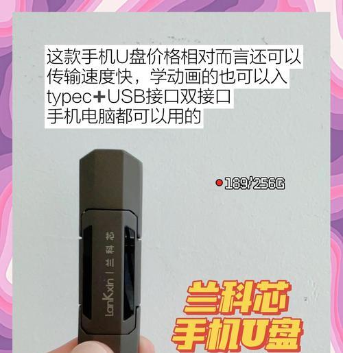 手机读取U盘教程（轻松实现移动存储与手机连接的方法）