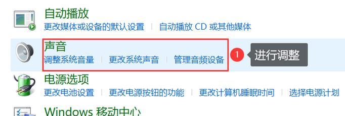 电脑没有声音的原因及解决方法（解决电脑无声问题，让您尽享音频体验）