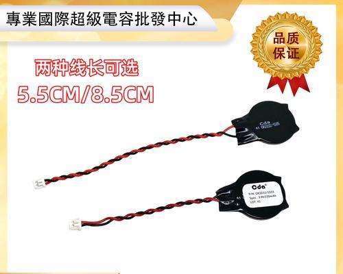 戴尔BIOS烧录教程（详细教程帮助你了解戴尔电脑BIOS更新步骤与注意事项）
