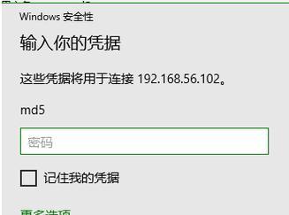 远程修改电脑密码错误的方法（如何通过远程操作解决电脑密码错误问题）