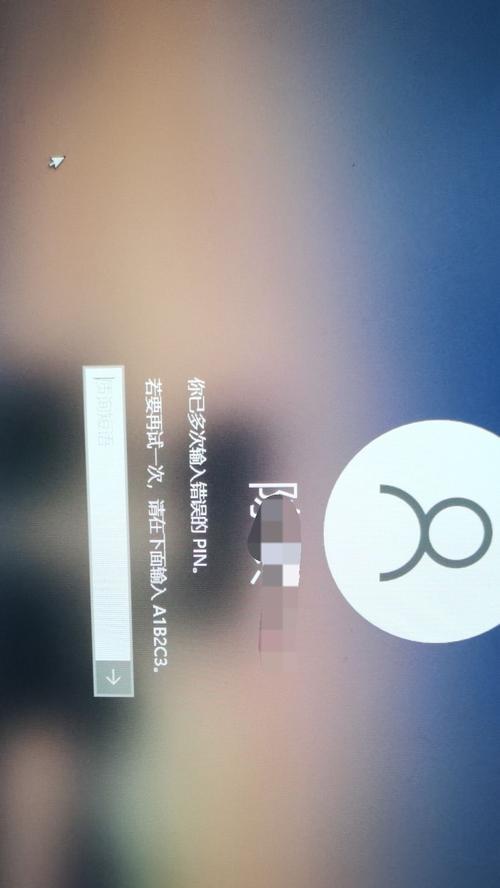 电脑多次错误PIN的解决方案（通过重置密码或解锁方式快速解决PIN错误问题）