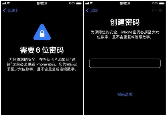 探究苹果电脑密码错误的原因与解决办法（解密苹果电脑密码错误的隐秘密码）