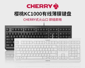 网吧电脑键盘维修教程（掌握维修技巧，解决键盘问题）